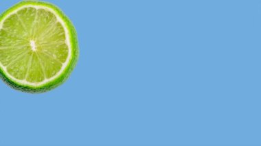 animation of a lime jumping or hitting the edges of the screen on a blue background. High quality 4k footage