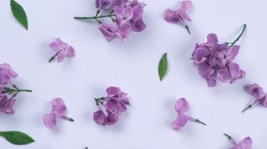 Şeftali ya da bej arkaplanda mor leylak çiçeklerinin arkaplanı. Parlak arkaplan, çiçek ya da bitki tasarımı.