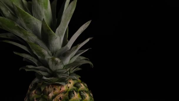 Rotating Pineapple Black Background Close Space Paste Copy Space High — Stockvideo