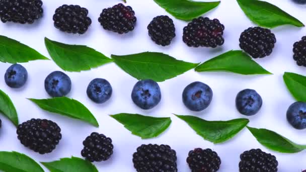 Rotating Blackberries Blueberries White Background Close Top View High Quality — Vídeos de Stock