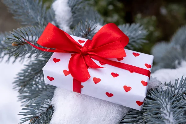 A white box in hearts with a red bow on a branch of a Christmas tree and falling snow. The concept of celebrating Valentine\'s Day or gifts for Valentine\'s Day or birthday or other holidays. High quality photo
