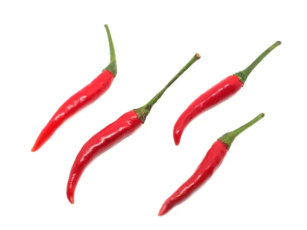 Veel Rode Hete Chili Pepers Whit Geïsoleerde Bovenaanzicht — Stockfoto