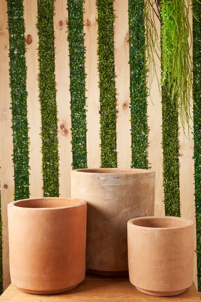 Earthenware Pot Plants Wooden Table Green Plant Background Catalog Plant — Stok fotoğraf