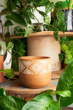 earthenware pot for plants on a wooden table with green plant background. catalog of plant pots. clay pot for plants.