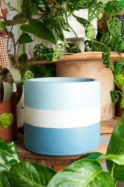 earthenware pot for plants on a wooden table with green plant background. catalog of plant pots. clay pot for plants.