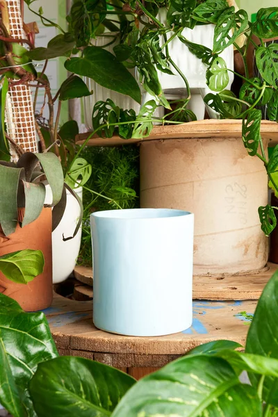 earthenware pot for plants on a wooden table with green plant background. catalog of plant pots. clay pot for plants.