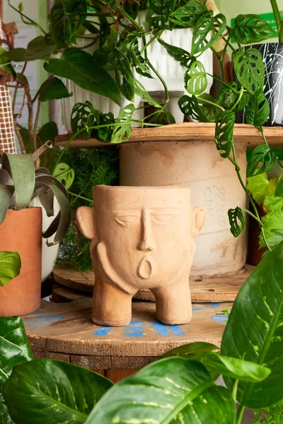 earthenware pot for plants on a wooden table with green plant background. catalog of plant pots. clay pot for plants.