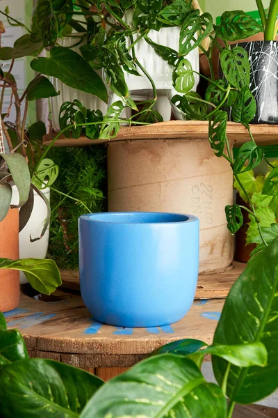 earthenware pot for plants on a wooden table with green plant background. catalog of plant pots. clay pot for plants.