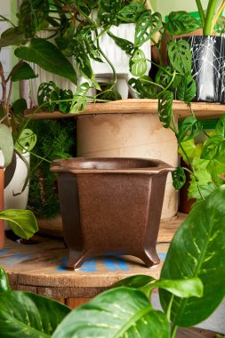 earthenware pot for plants on a wooden table with green plant background. catalog of plant pots. clay pot for plants.