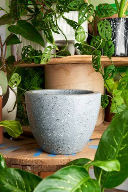 earthenware pot for plants on a wooden table with green plant background. catalog of plant pots. clay pot for plants.