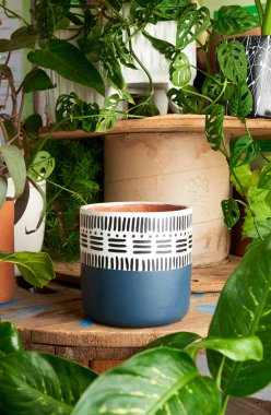 earthenware pot for plants on a wooden table with green plant background. catalog of plant pots. clay pot for plants.