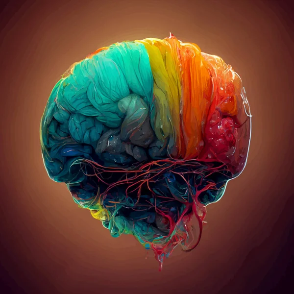 Colorful illustration of the human brain. detailed 2d illustration of the human brain, parts of the brain.