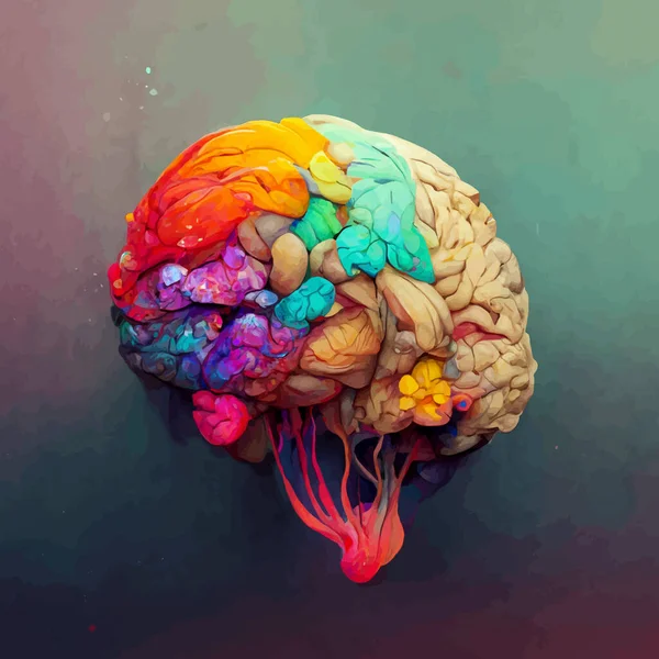 Colorful illustration of the human brain. detailed 2d illustration of the human brain, parts of the brain.