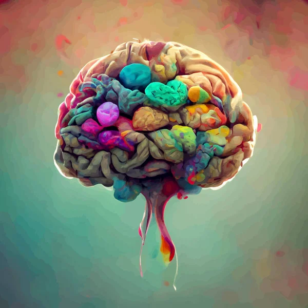 Colorful illustration of the human brain. detailed 2d illustration of the human brain, parts of the brain.