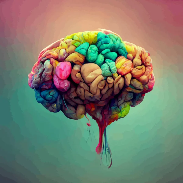 Colorful illustration of the human brain. detailed 2d illustration of the human brain, parts of the brain.