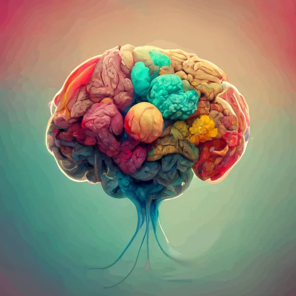 Colorful illustration of the human brain. detailed 2d illustration of the human brain, parts of the brain.