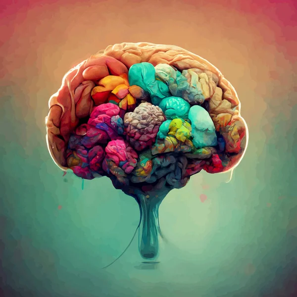 Colorful illustration of the human brain. detailed 2d illustration of the human brain, parts of the brain.