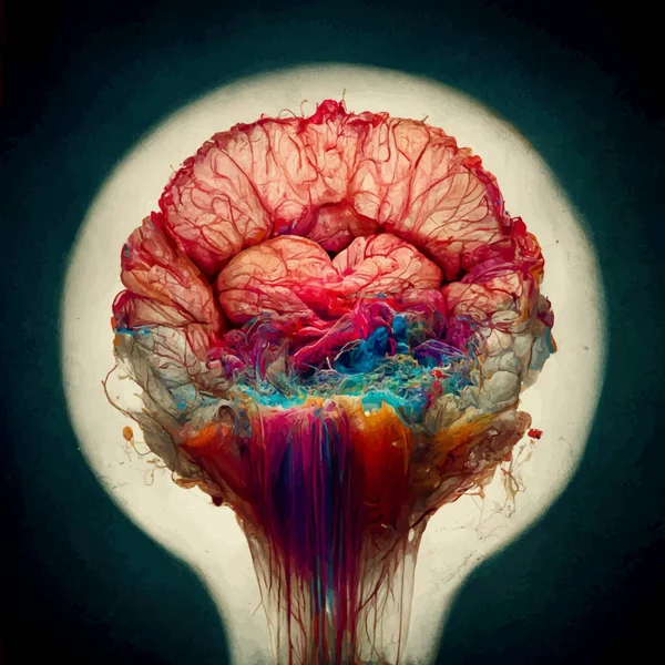 realistic illustration of the human brain. parts of the brain