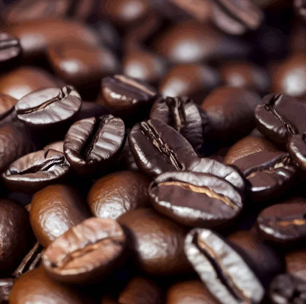 coffee beans illustration. coffee illustration