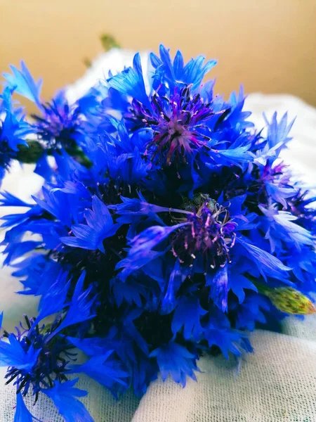 Pequeno Buquê Flores Milho Memória Presente Verão — Fotografia de Stock