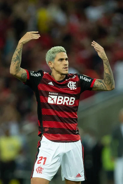 Flamengo 'dan Pedro, Libertadores Kupası 2022' de Brezilya 'nın Rio de Janeiro şehrinde oynanan ve Flamengo ile Sporting Cristal arasında oynanan maçta