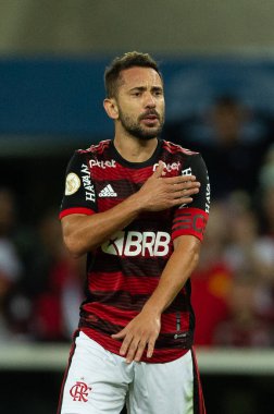 Flamengo 'dan Everton Ribeiro, Brasileirao Serie A 2022' nin bir parçası olarak 15 Haziran 2022 'de Brezilya' nın Rio de Janeiro şehrinde oynanan karşılaşma sırasında.