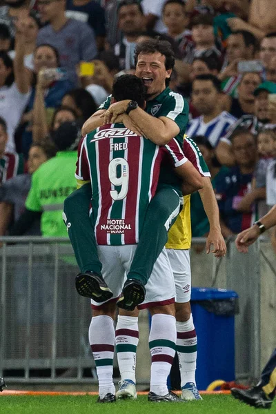 Fred Und Fernando Diniz Von Fluminense Feiern Und Weinen Während — Stockfoto