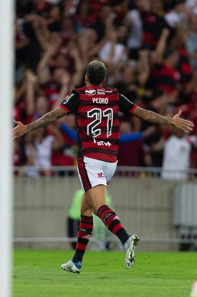 Flamengo 'dan PEDRO, Copa Libertadores 2022' nin bir parçası olarak Brezilya 'nın Rio de Janeiro kentindeki Maracana Stadyumu' nda oynanan Flamengo ve Tolima maçında atılan golü kutluyor..