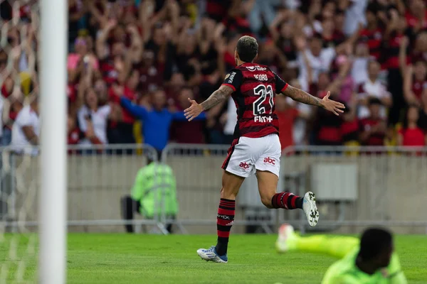 Pedro Flamengo Celebrate Goal Match Flamengo Tolima Part Copa Libertadores — Fotografia de Stock