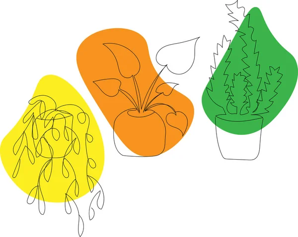 Grupo Plantas Domésticas Aisladas Colección Plantas Interior Macetas Decoración Del — Vector de stock