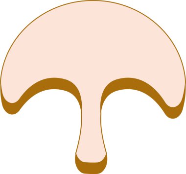 Şampiyonun vektör çizimi. Beyaz arka planda taze organik mantar. Pizzanın içeriği