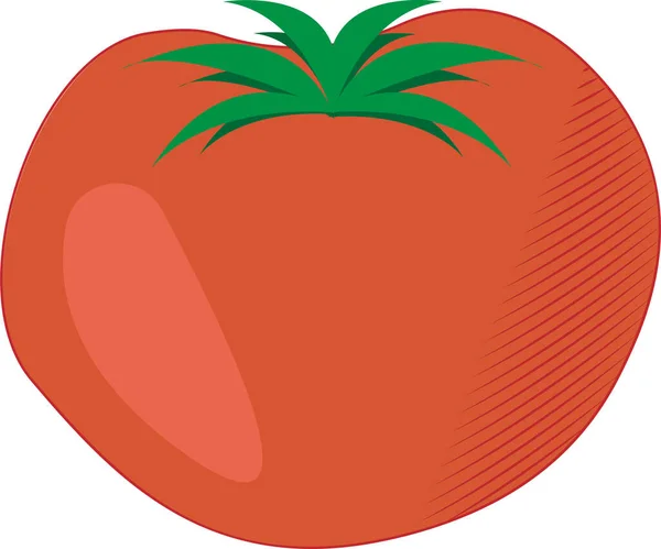Vector Ilustración Tomate Fresco Simpe Vegetales Rojos Aislados — Archivo Imágenes Vectoriales