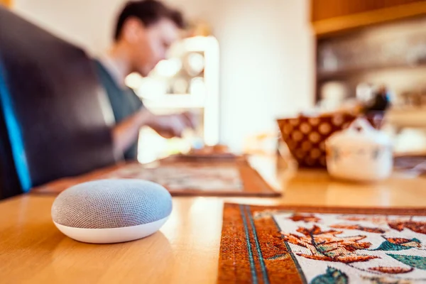 voice controlled smart speaker in a interior home environment.