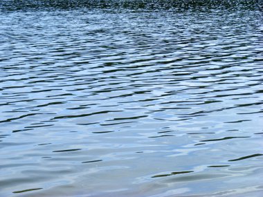 Orman gölünün dalgalı su yüzeyinde bir yaz günü güneş parlıyor.