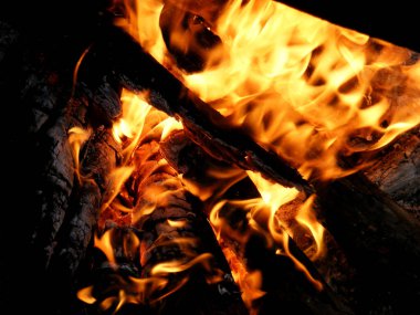 a bright yellow fire burns in a bonfire among logs covered with ashes