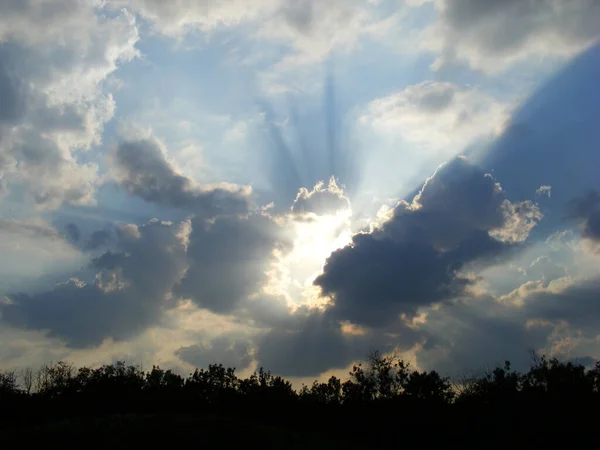 Sun Pierces Rays Light Evening Clouds Sky Black Silhouettes Forest — Stockfoto