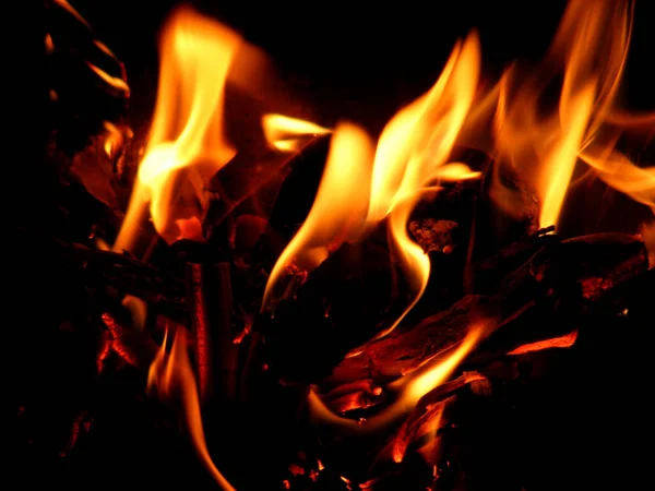 Fire Flame Campfire Burning Bonfire Night — Stock Photo, Image