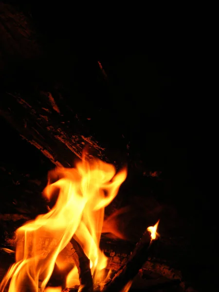 Close View Campfire Fire Flames — Stock fotografie