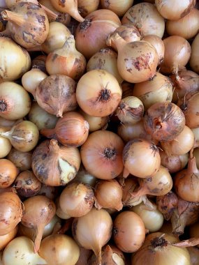 close up of onions in a pile