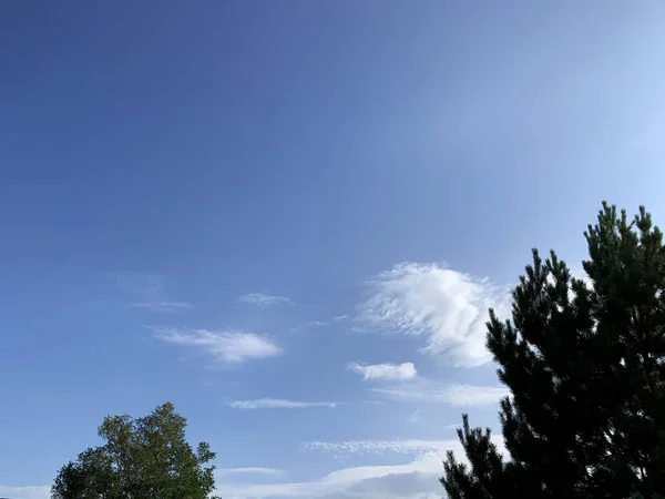 Красивое Голубое Небо Белыми Кучевыми Облаками Фоне Зеленого Леса Облачной — стоковое фото