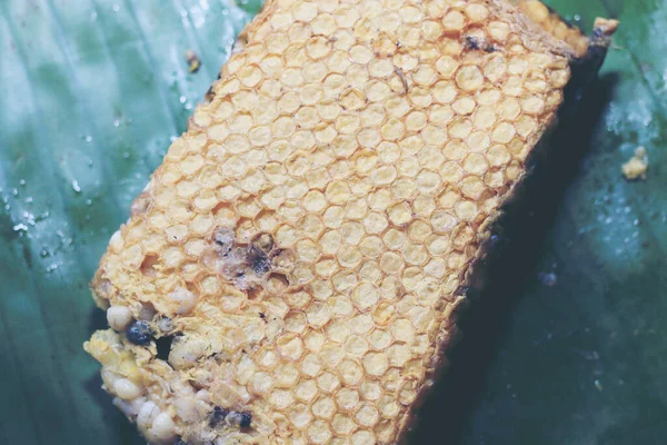 Taze bal peteği ya da arı kovanı. Tayland 'ın kuzeyindeki yerel yiyecekler.