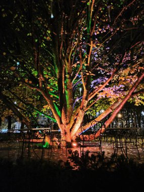 Kyiv 'de gece mucizesi