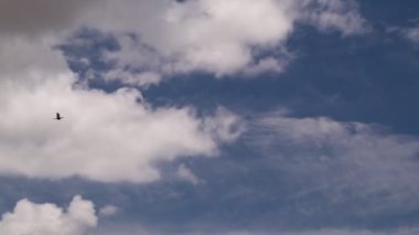 Gökyüzü bulutları, mavi gökyüzü beyaz bulutlar Zaman ayarlı, gökyüzü zaman ayarlı 