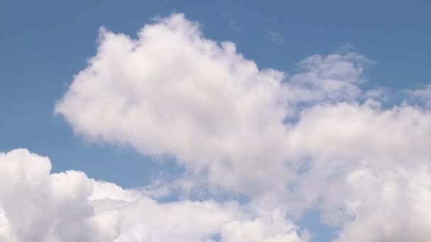 Небесные Облака Голубое Небо Белые Облака Тимелапс Небо — стоковое видео