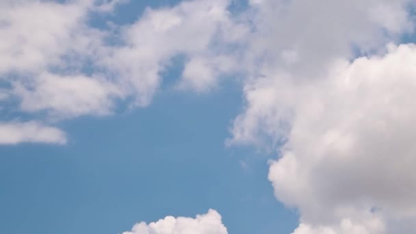 Sky Clouds Blue Sky White Clouds Sky Timelapse Clouds Timelapse — Stock Video