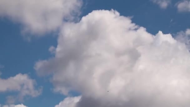 Nubes Cielo Cielo Azul Nubes Blancas Cielo Timelapse Nubes Timelapse — Vídeo de stock