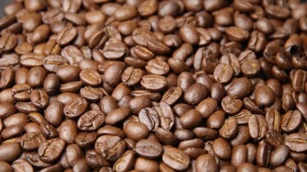焙煎したコーヒー豆の背景 コーヒー豆 — ストック動画