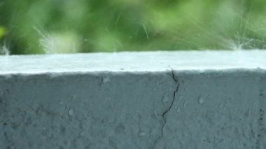 Beautiful rain drops falling 4K Video