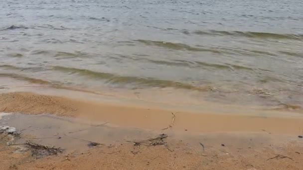 Κύματα Στην Άμμο Παραλία — Αρχείο Βίντεο