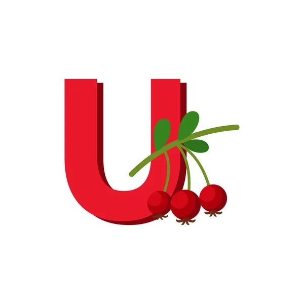 Fruits Alphabet Letter Ugni Molinae Education Kids Flat Vector Illustration — 스톡 벡터